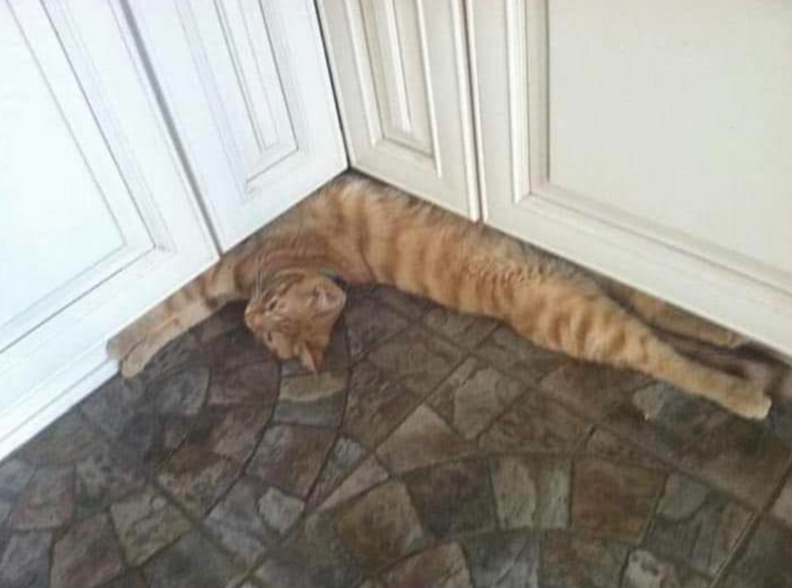 22ed0b5764959fa504141d7ca9