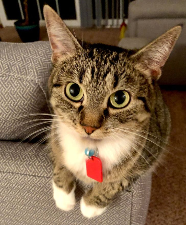 22f7e1574baf90274eb4aa8174