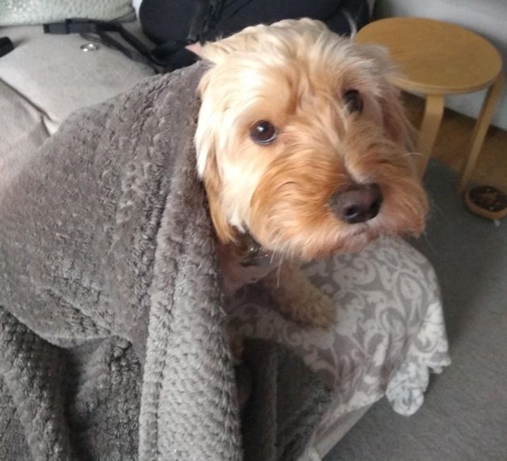 2303ba5e0d8baf958e9e160ee1