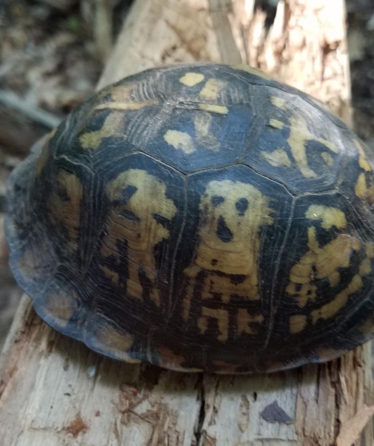 2303c455a9a554a441d1c91420