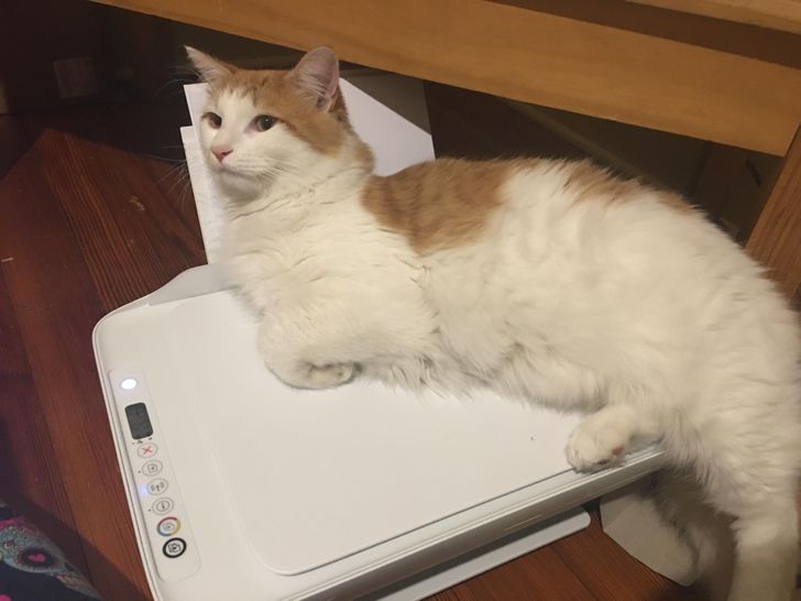 2304b95b4a887ccc25a1dfb0a1