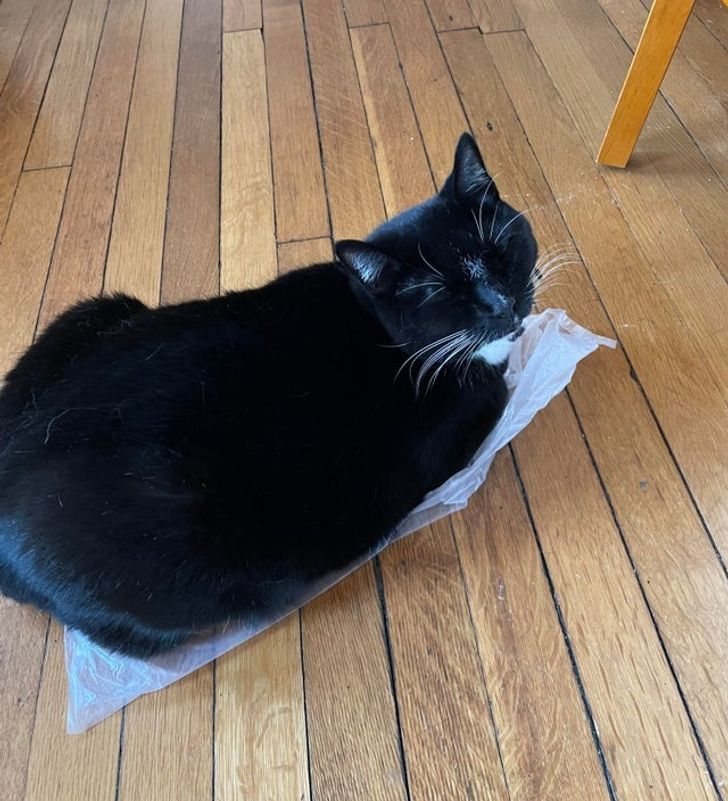 23140f5a208d2d03238f2d51b3