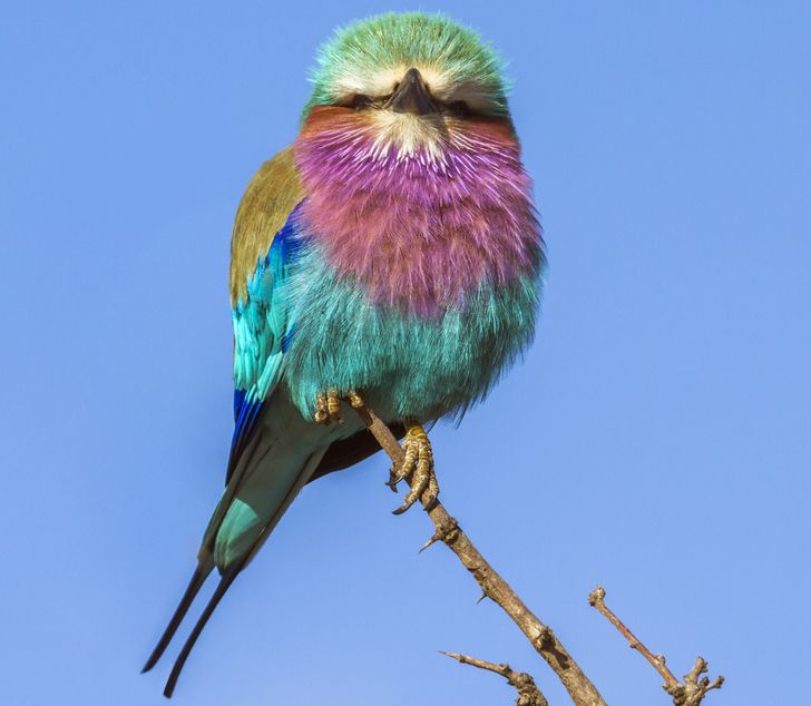 23166157c9887ed17f004b16b5