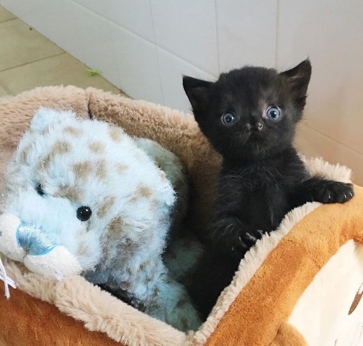 2317ac5051837421d361050968