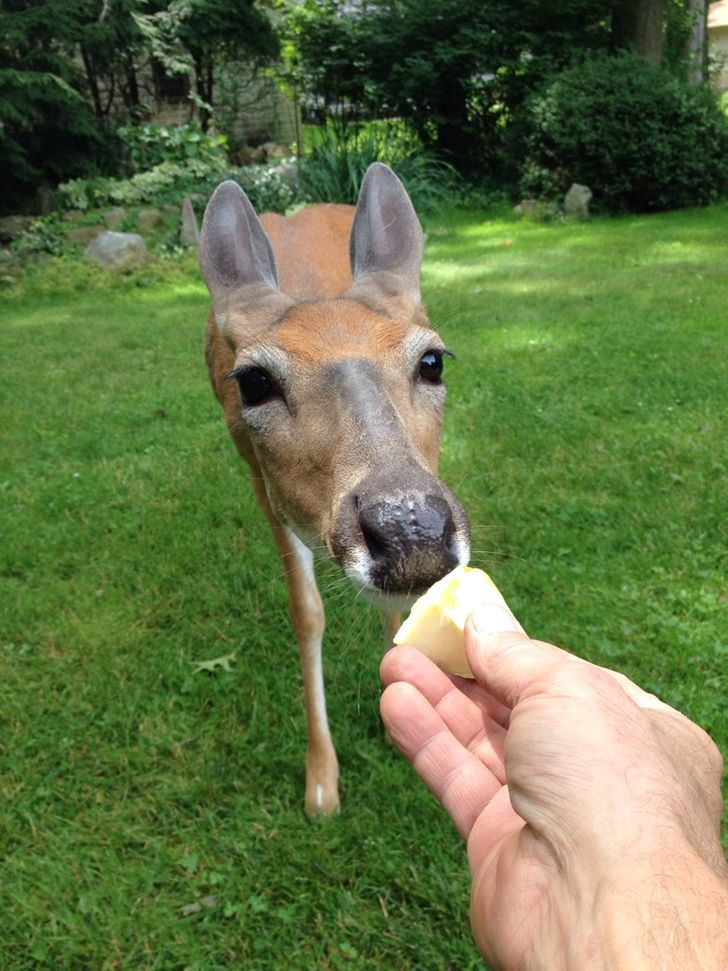 2319655c9e90c768d885579418