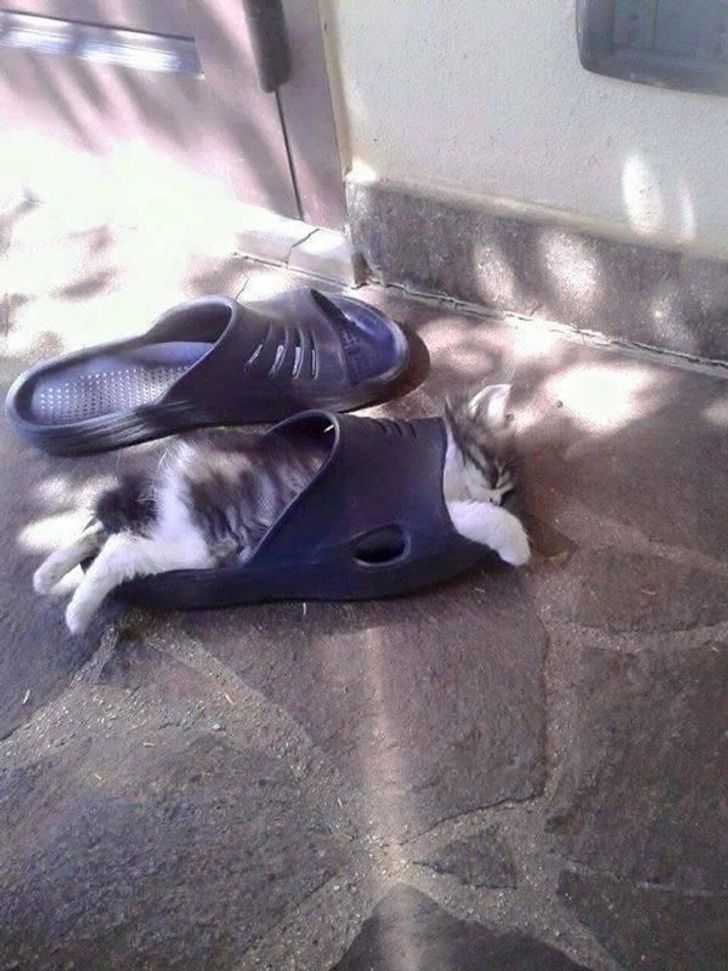 231ede570cb240d70c172d37c2