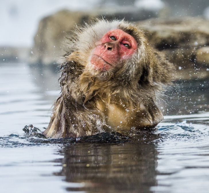 23221f5e1782fb4652f40c6b1a