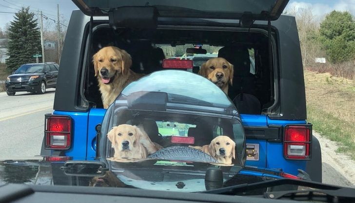 23234d5af6bf9dc35d3ddc3a32