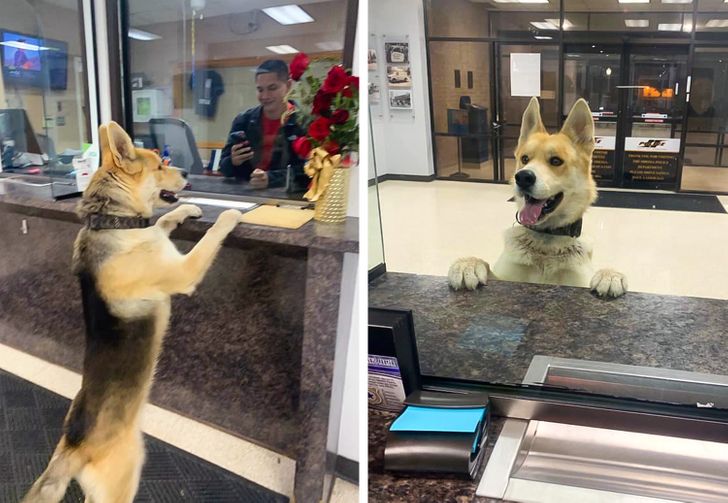 2324115ff681f9e3ec96c337a0