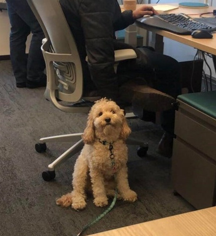 232cc85829b28d383d57c55ede 232cc85829b28d383d57c55ede