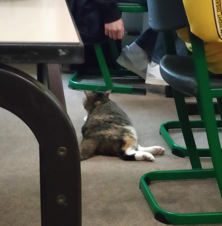 233140536bae25222bbe66fe54