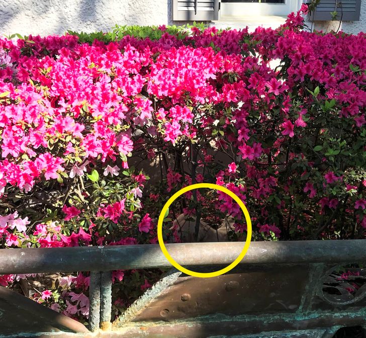 2333465523ae87c25fa6eabae4