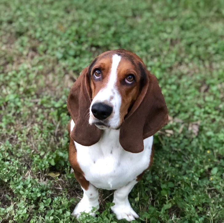 23586e5941b21d674858533c08