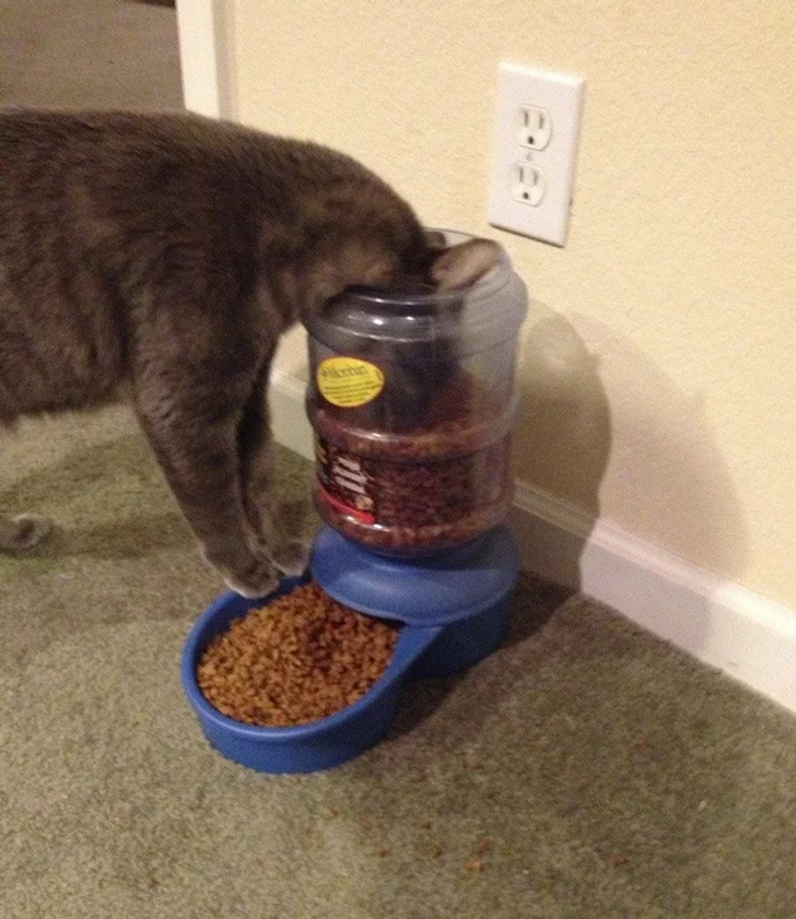 235d015ec1ab1aba98ef1d8db9