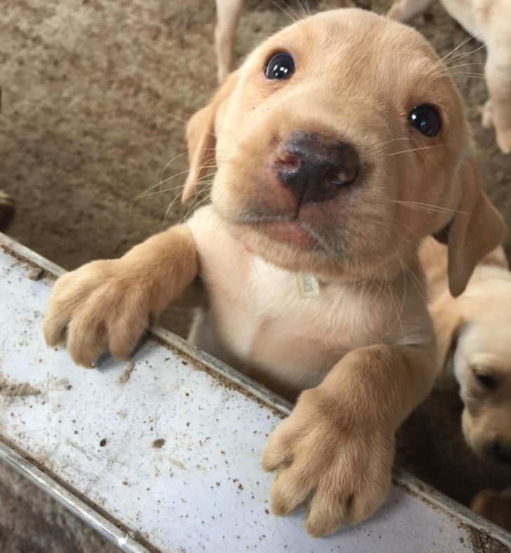 2361965dd3b62ebf1f260e8924