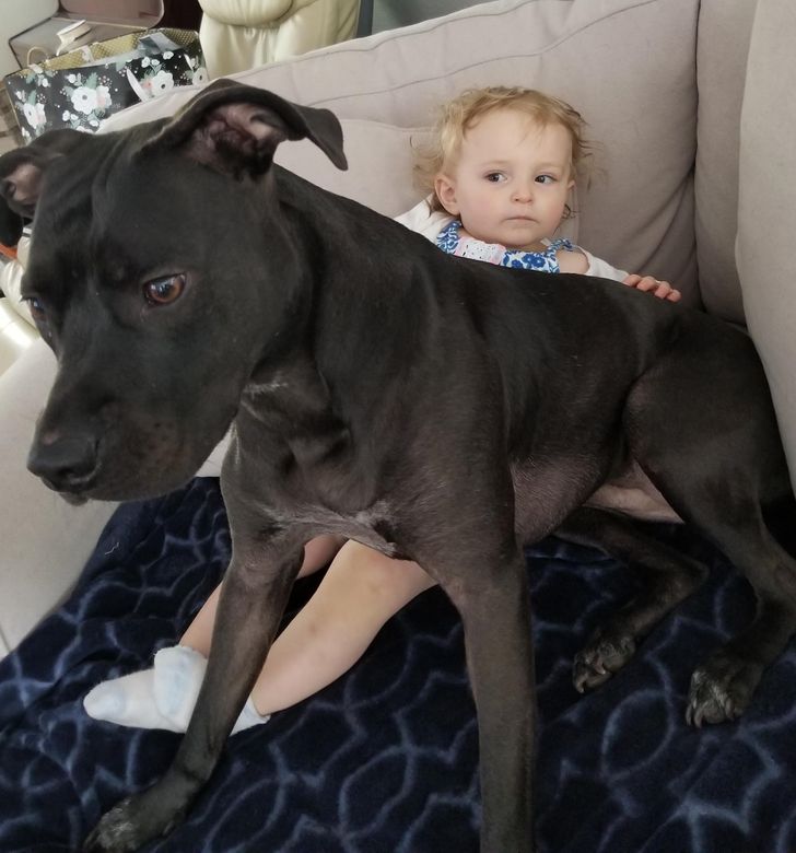 2363d251a6ad1a99912b6a5482