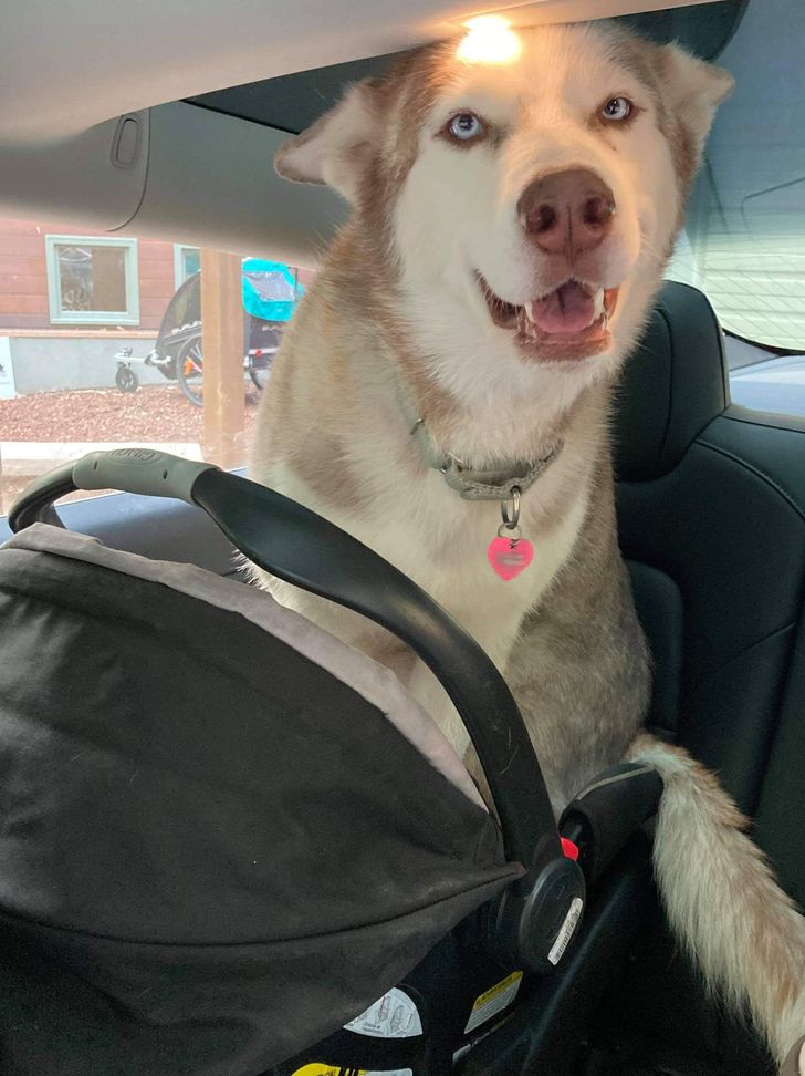 23659a5a6b8ad8445788e51dc0 23659a5a6b8ad8445788e51dc0