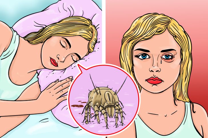 236f1654f7a81252d3b8b5756a