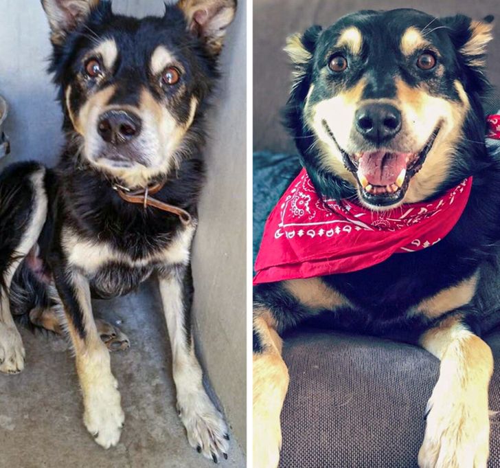 2377f3585f9737ecfca8191e9c