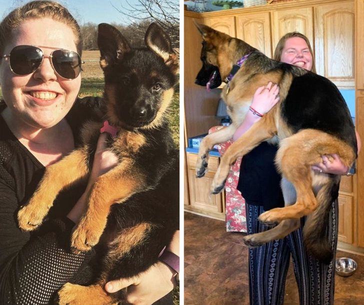 237a7b5d86b3080730b73a0923