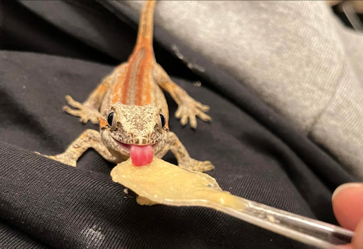 237f315376941b621ab88b9608