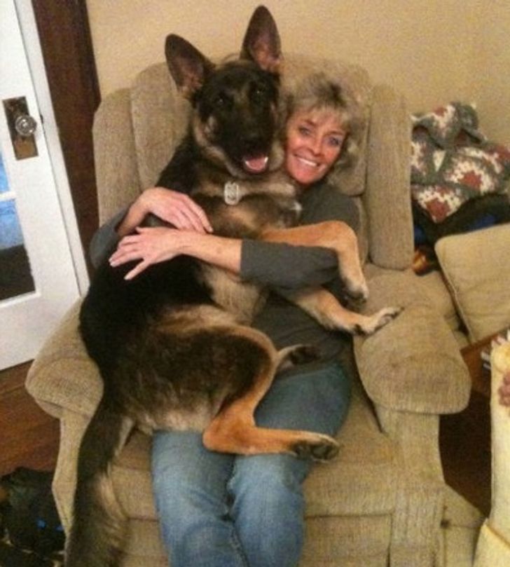 2386865afb85e765b6f7b44b41