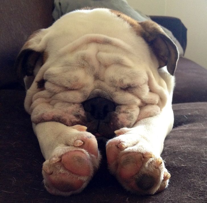 238870568ca98c216a3602c87a