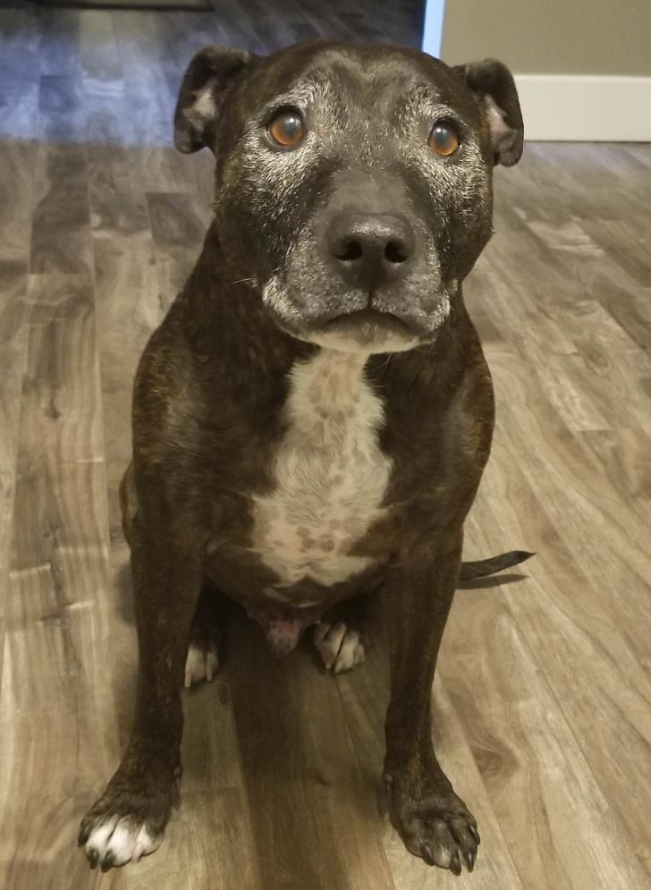 2389e857bb8c1a734b8fa6bdcb