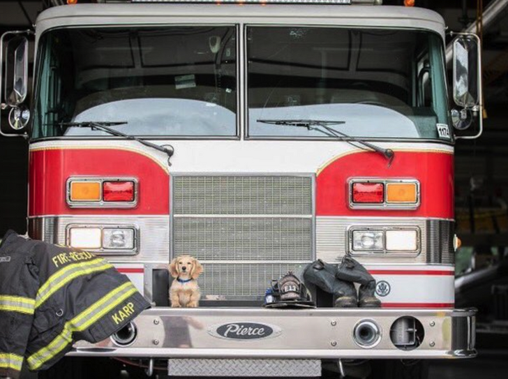 238f8f54e68aacdb2a41333579