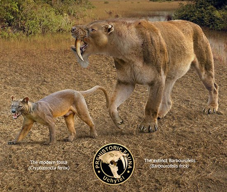 2391c85585a3aa6ae810d5dc45