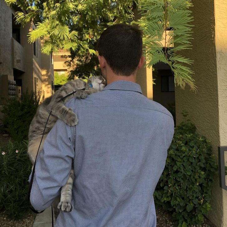 239c38542d81275fa2eedc790f 239c38542d81275fa2eedc790f