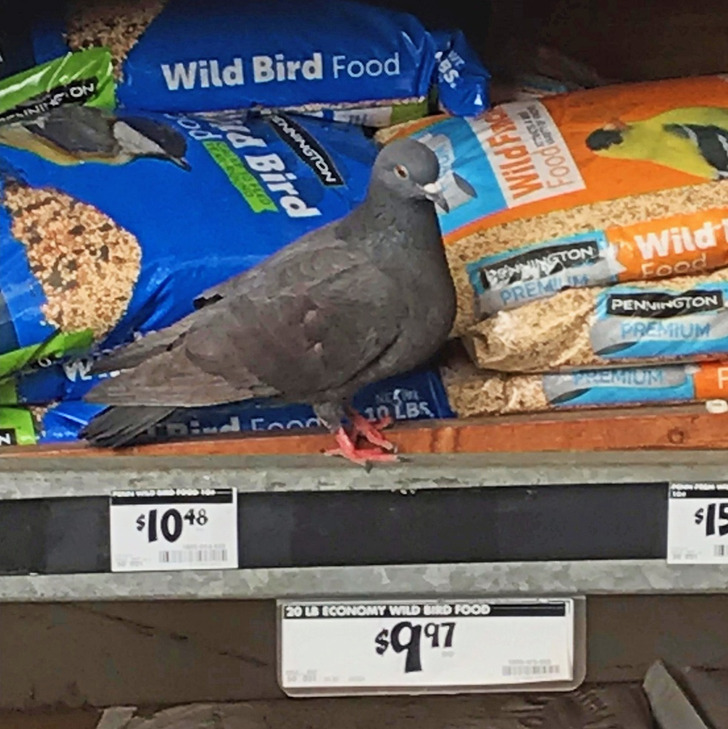 23a27752fea4ef63f99e36dd0d