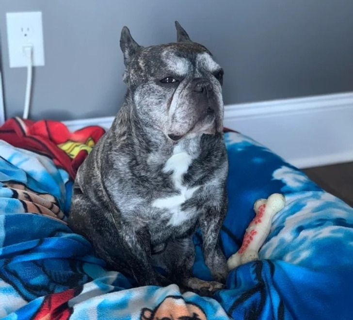 23a97a5c9ea41e539a18082293