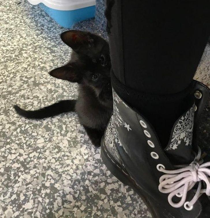 23a99c5979a31acfe0d82c81b7