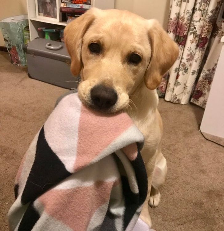 23ae9e5774a17843cde8bb4513