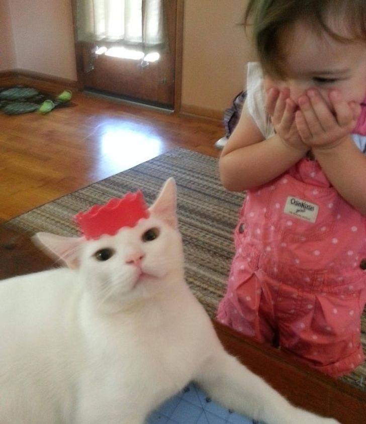 23b2115fd8a0343a58cbf334f7