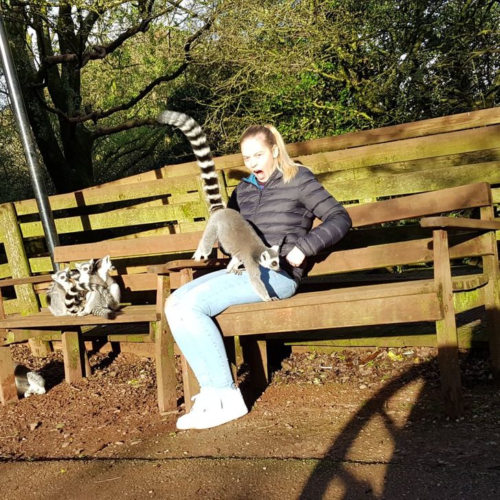 23b70a5d89a0f980d094c396ee