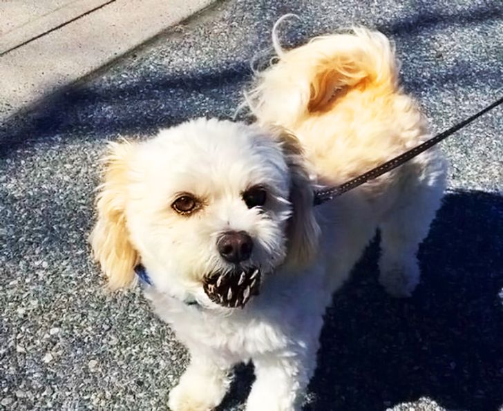 23bb5e556698dd6e0493f44ee3