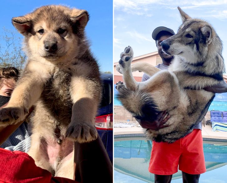 23bffd53d8a8c4d6e9fadfc35b