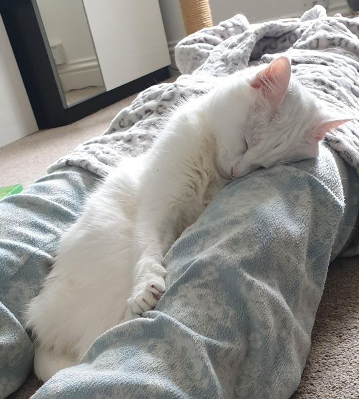 23c9265571a35963f8ecaea48f