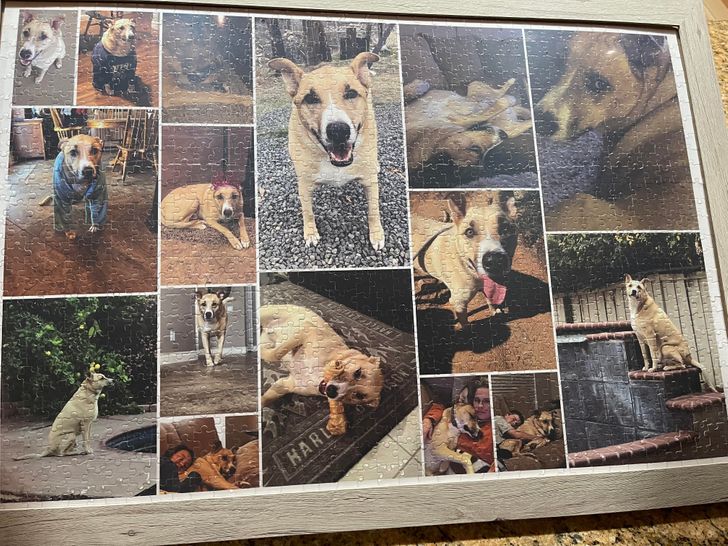 23daec58a0b15bf9c8972610d2