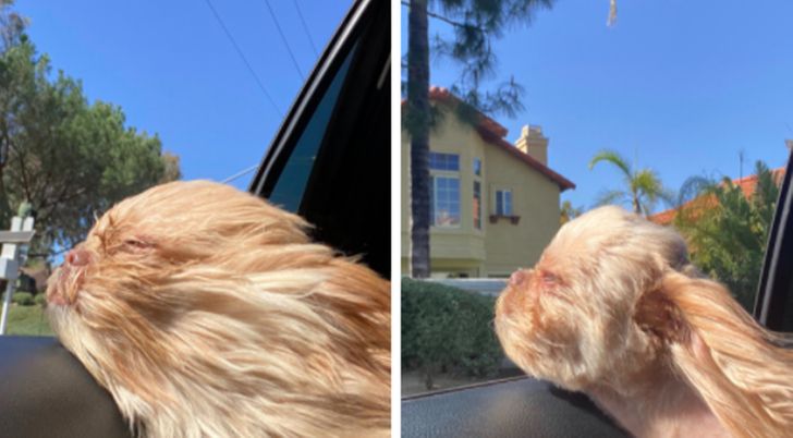 23dcd152feab75a8104178db8c