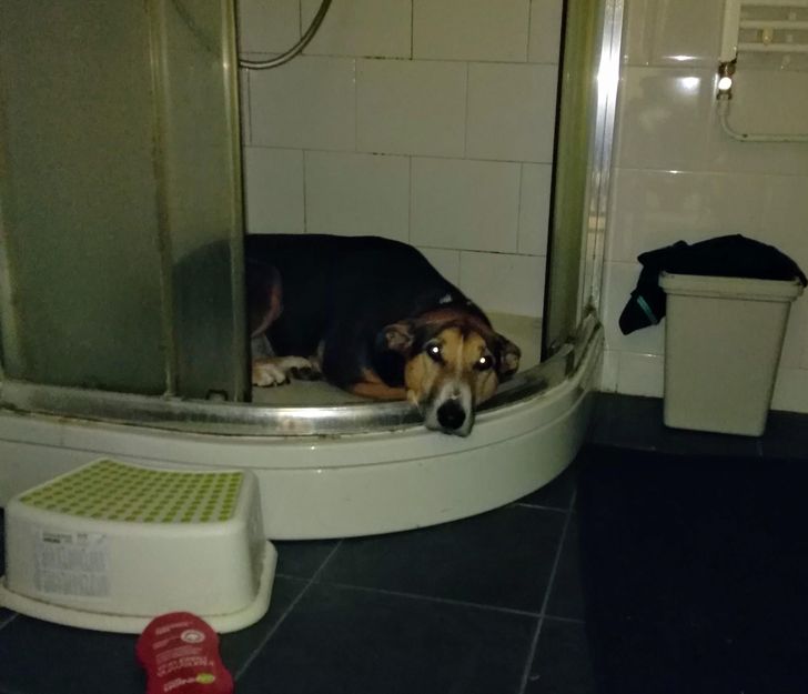 23df7b5e87b90954fb90762957