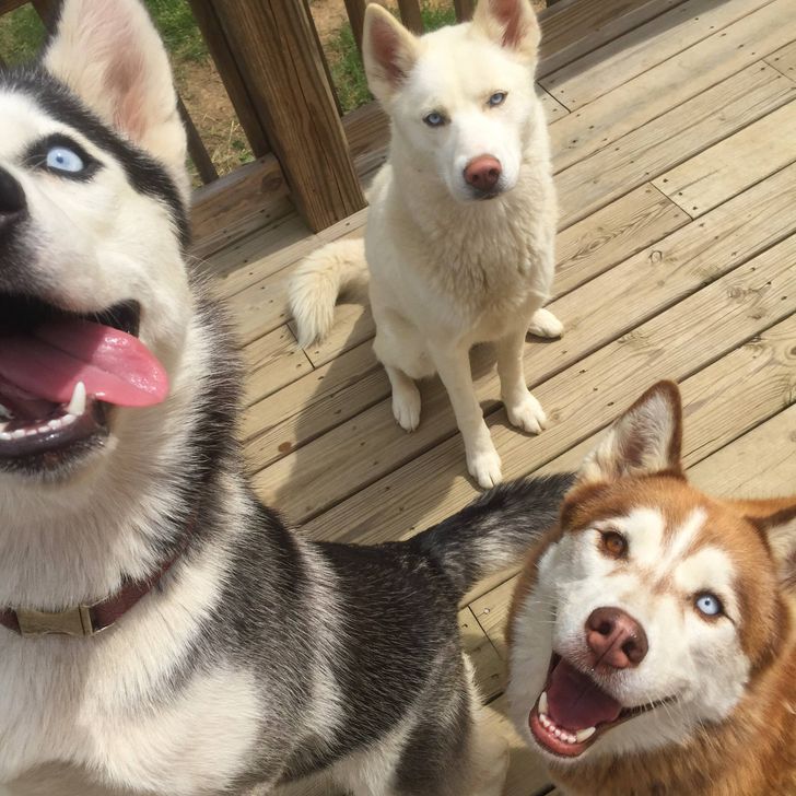 23e2835e84ad22ee9fde0cb93d