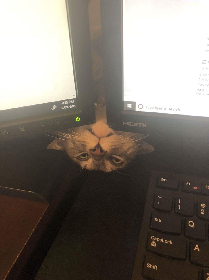 23e30e53f58fe4a7c9300193ab