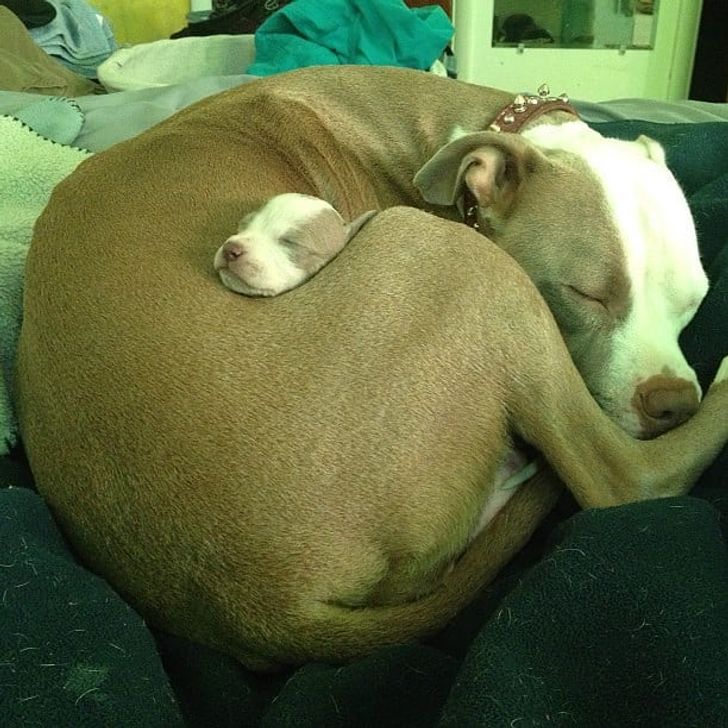 23e3a45ff1803a4bbb7da0c50b