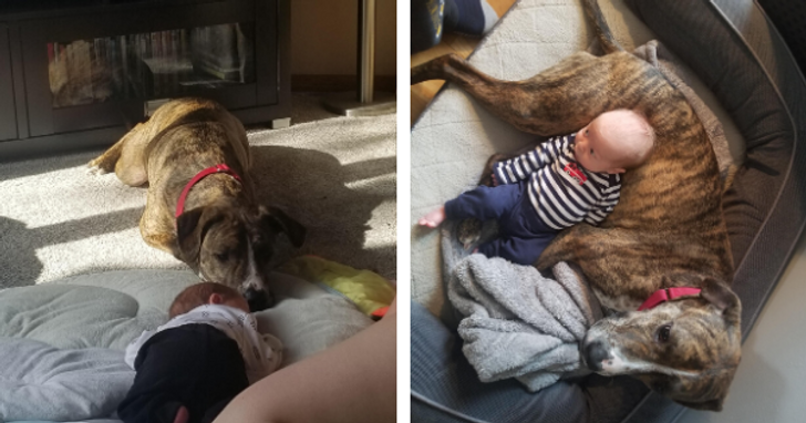 23e4ce53dc84776ada33f698d8