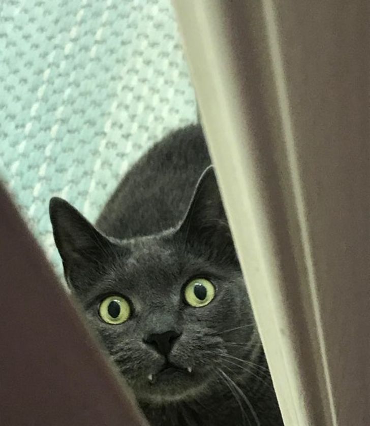 23e63055e79872a974a9bb6e75