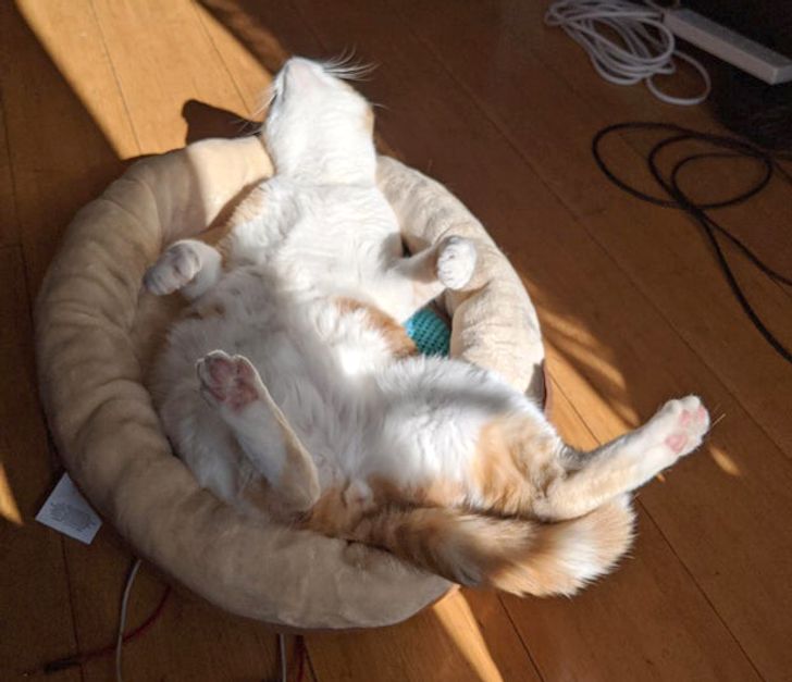 23e9f553729272ea0650bcbbb4