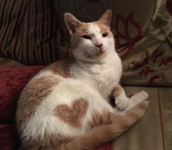 23fe985203bd18e1e068998ac8